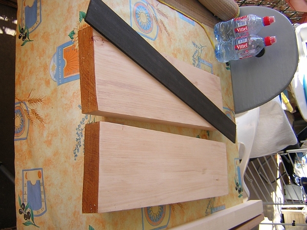 l'aulne du corps et l'ébène de la touche.jpg